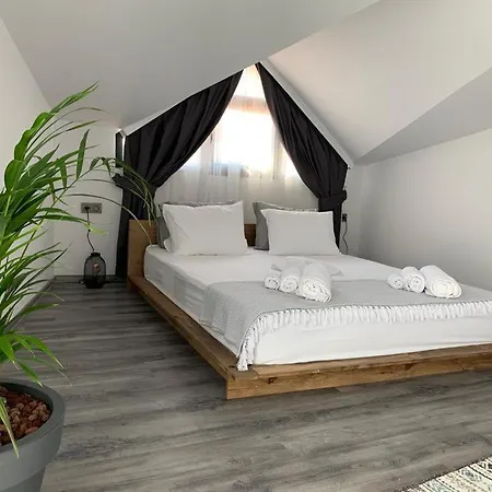 Spacious With Sea View In شقة *